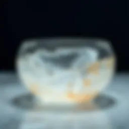 A stunning quartz bowl showcasing intricate patterns and clarity