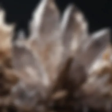 Close-up of quartz crystals showcasing their unique formation