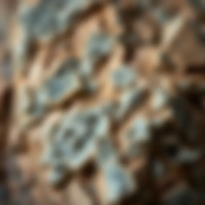 Close-up of Leland Bluestone highlighting its geological features