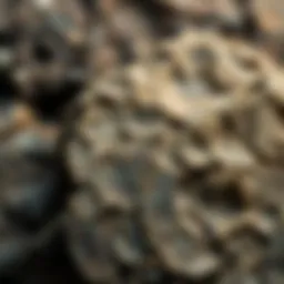 Leland Bluestone displaying its unique texture and color variations