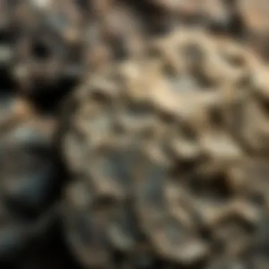 Leland Bluestone displaying its unique texture and color variations