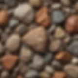 Close-up of textured conglomerate rock showcasing various pebbles and minerals