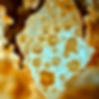 Microscopic Details of Minerals A microscope view revealing intricate details of a mineral's surface structures.