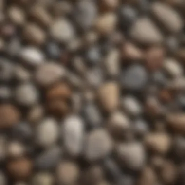 Diverse Collection of Rocks A diverse collection of rocks displaying different shapes and sizes.