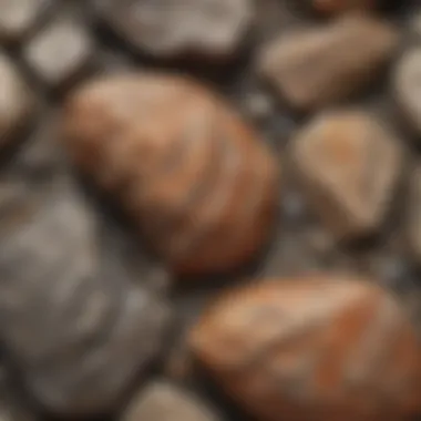 Unique Patterns of Metamorphic Rock Metamorphic rock exhibiting unique patterns and folds.