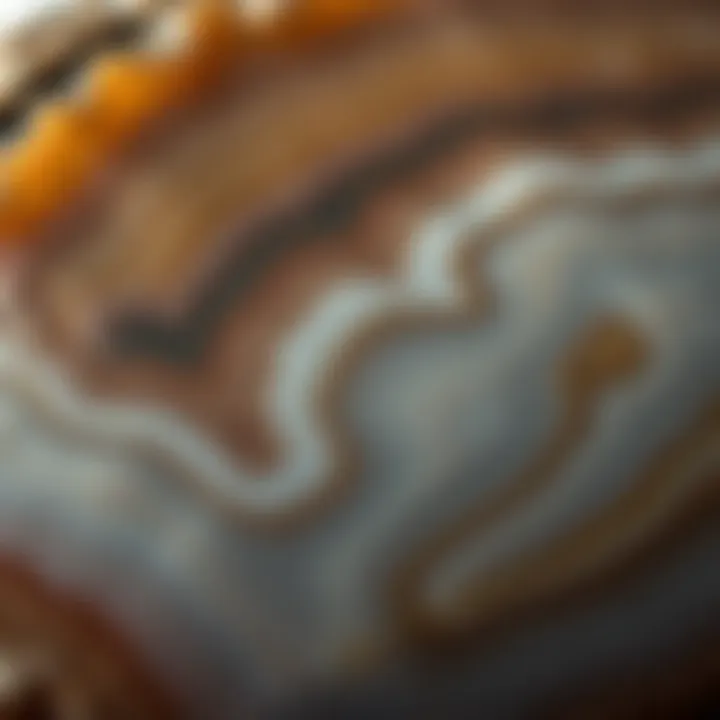 Close-up of polished agate stone showcasing intricate patterns