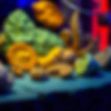 Fossils and Ultraviolet Light Preservation Fossils displayed under ultraviolet light showcasing preservation details