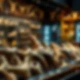 Authentic megalodon teeth displayed in a fossil shop